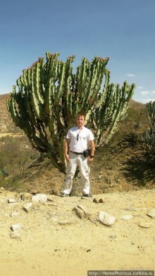 Альбом отзыва "Зеленый пояс Эритреи"