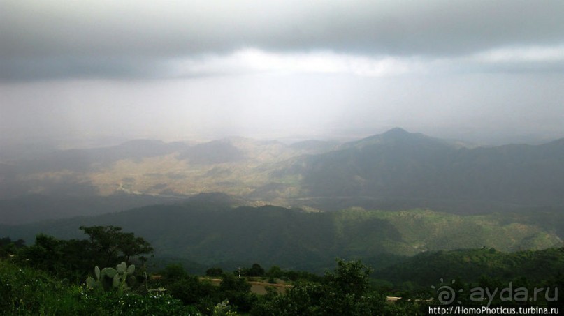 Зеленый пояс Эритреи