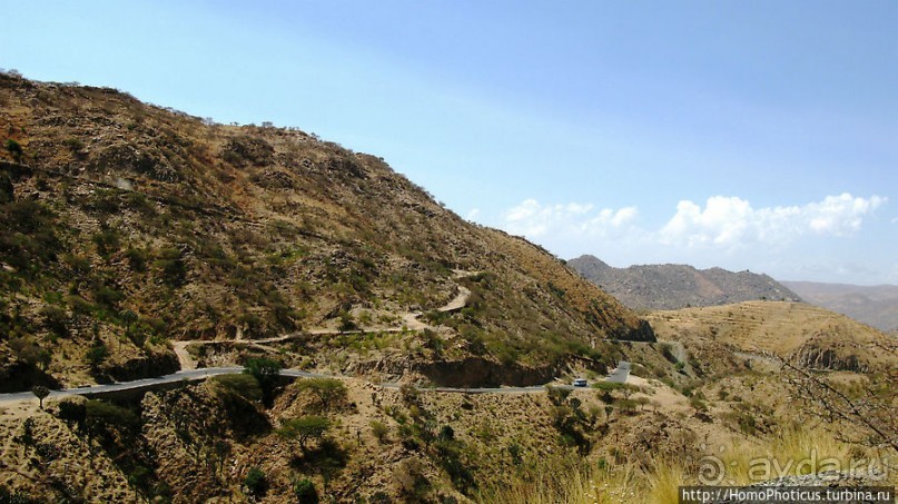 Зеленый пояс Эритреи