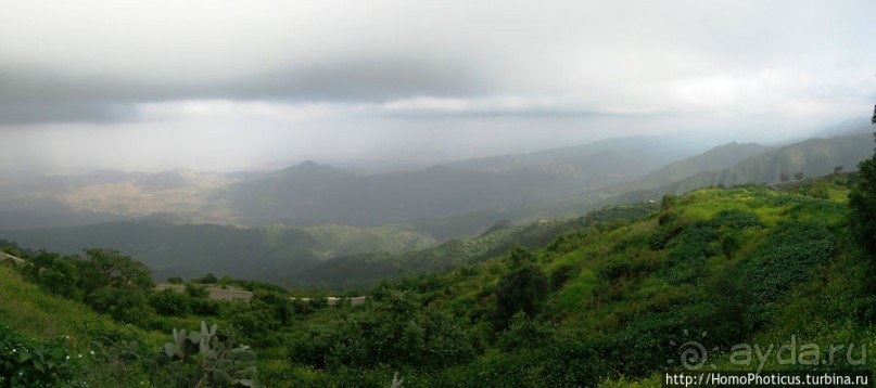 Зеленый пояс Эритреи