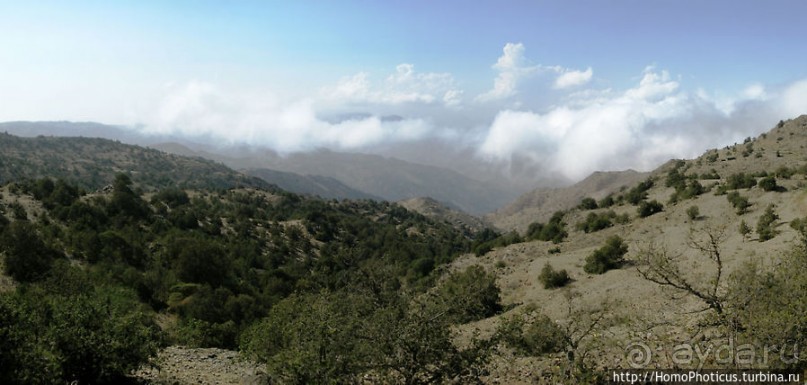 Зеленый пояс Эритреи