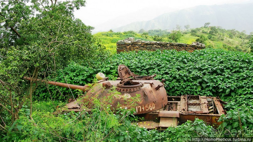 Зеленый пояс Эритреи