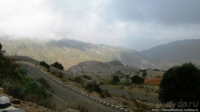 Зеленый пояс Эритреи