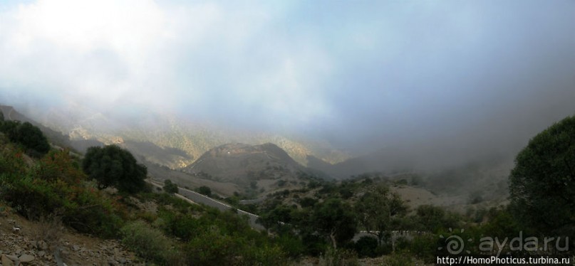 Зеленый пояс Эритреи