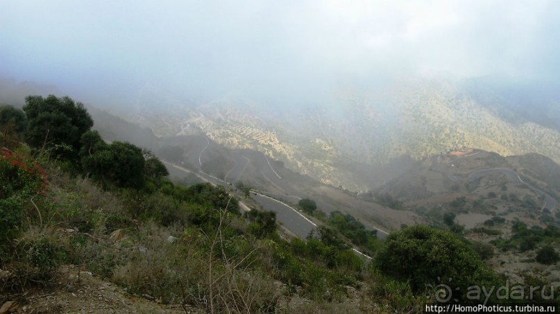 Зеленый пояс Эритреи