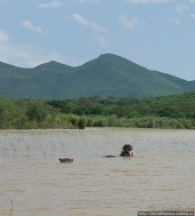 Абиссинские хроники. III. От века первого в век каменный