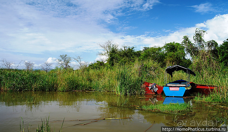 Абиссинские хроники. III. От века первого в век каменный