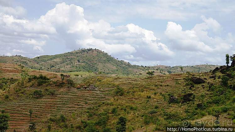 Абиссинские хроники. III. От века первого в век каменный