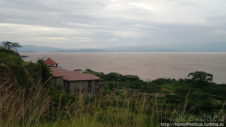 Абиссинские хроники. III. От века первого в век каменный
