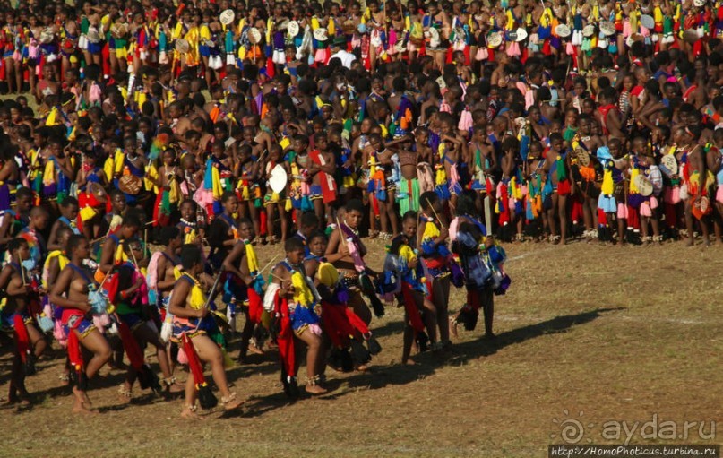 Умхланга. День VII. Прелюдия к кульминации