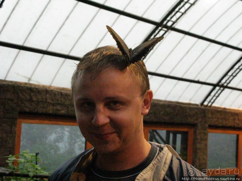 Алахуэла: бабочки, гады и водопады