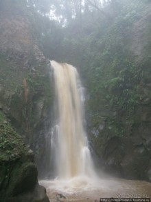 Алахуэла: бабочки, гады и водопады