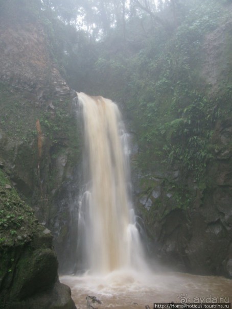 Алахуэла: бабочки, гады и водопады