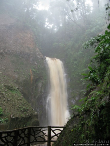 Алахуэла: бабочки, гады и водопады