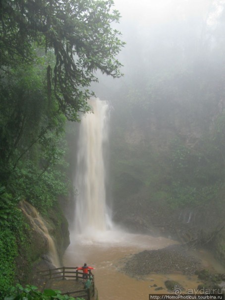 Алахуэла: бабочки, гады и водопады