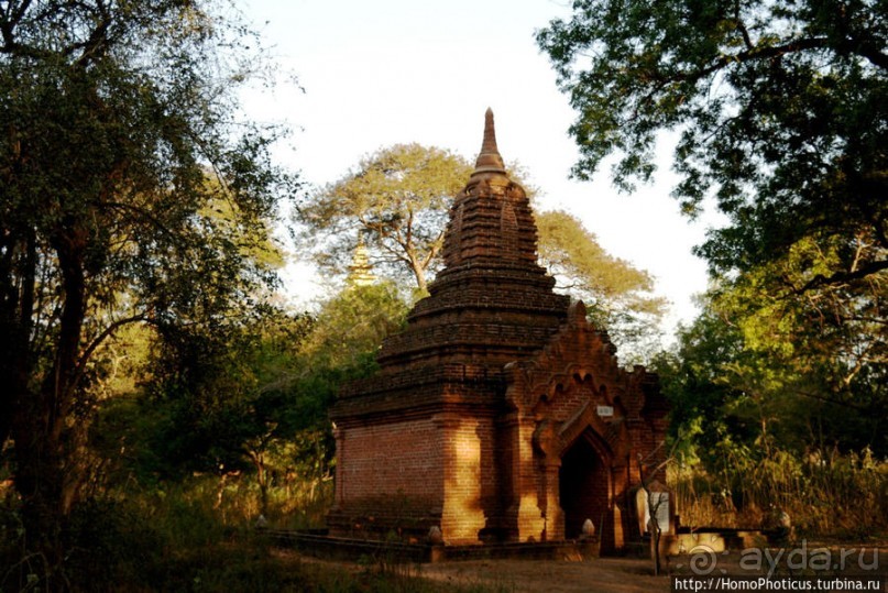 Здесь растут храмы!