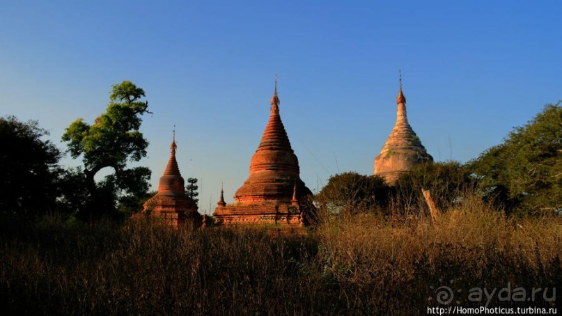 Здесь растут храмы!