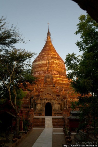 Здесь растут храмы!