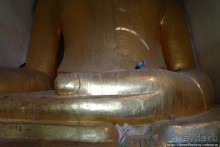 Здесь растут храмы!