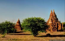 Здесь растут храмы!