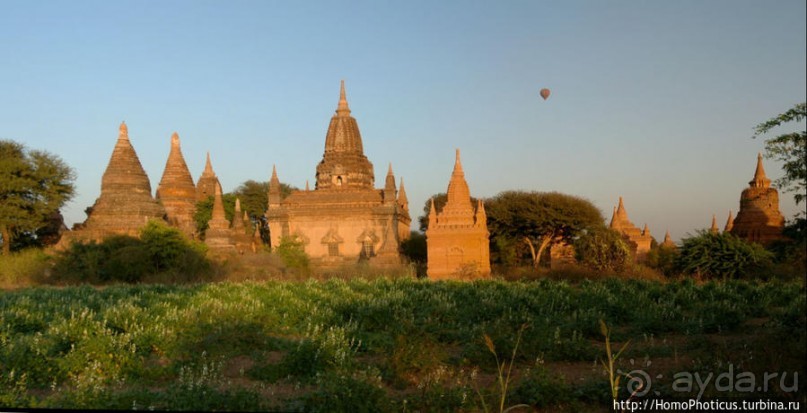 Здесь растут храмы!