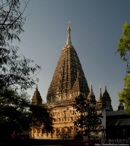 Здесь растут храмы!