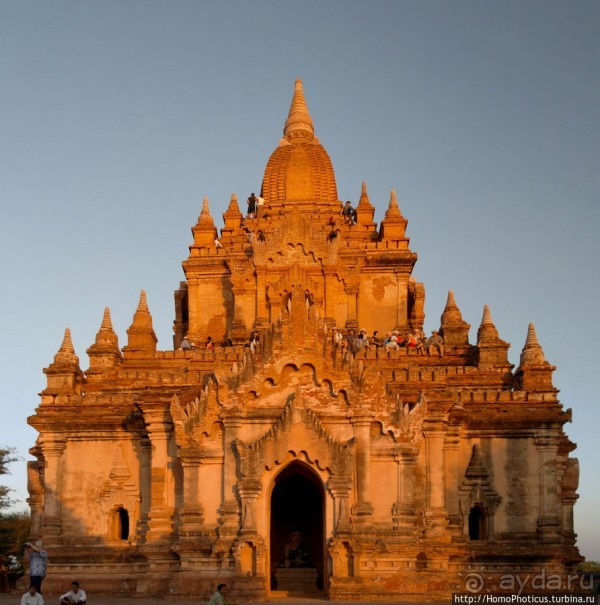 Здесь растут храмы!