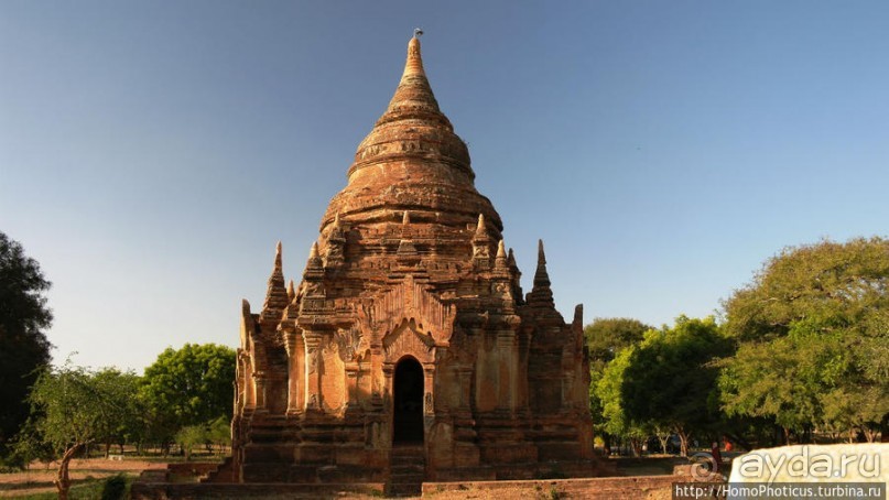 Здесь растут храмы!