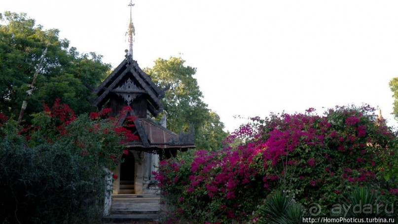 Здесь растут храмы!