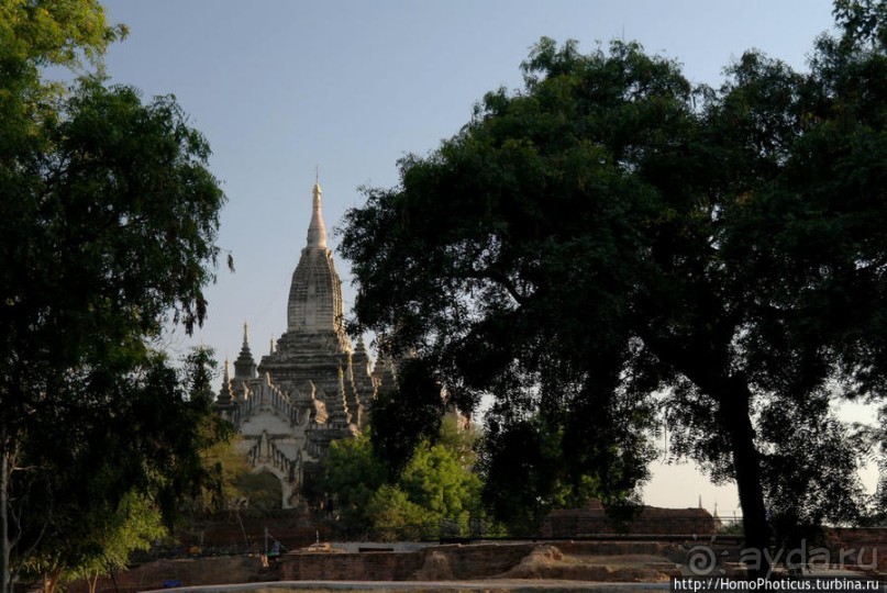 Здесь растут храмы!