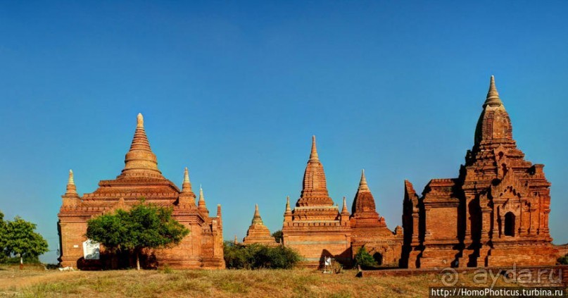 Здесь растут храмы!