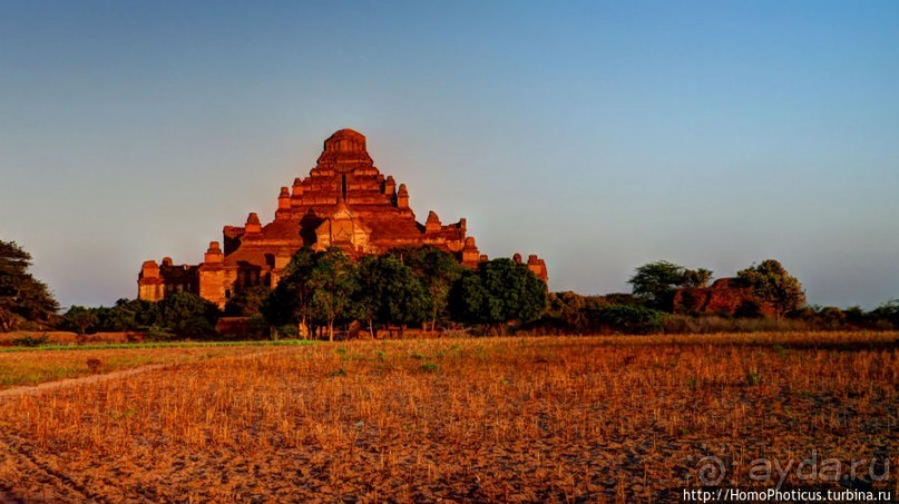 Здесь растут храмы!