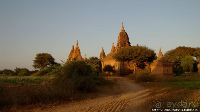 Здесь растут храмы!