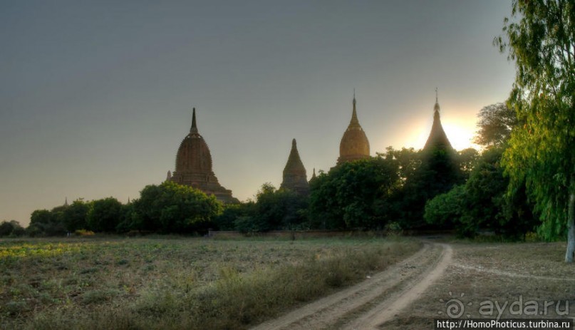 Здесь растут храмы!