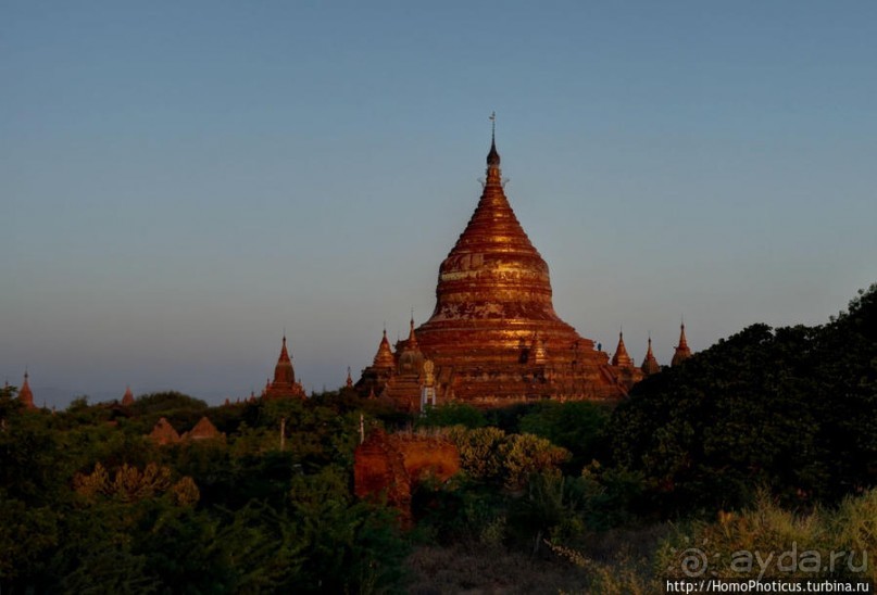 Здесь растут храмы!