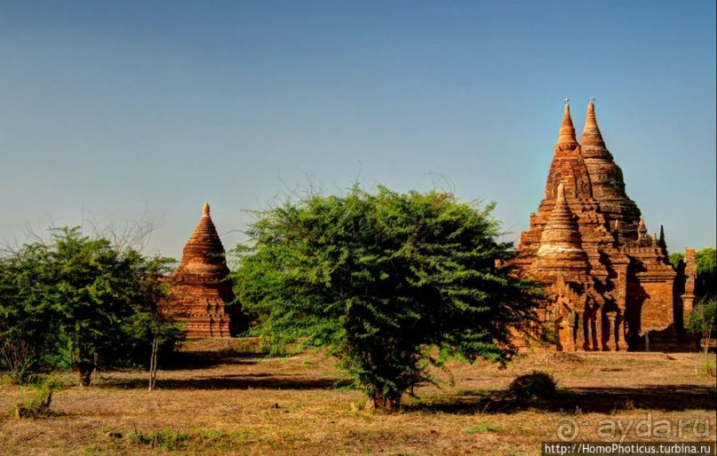 Здесь растут храмы!