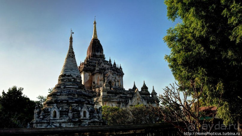 Здесь растут храмы!