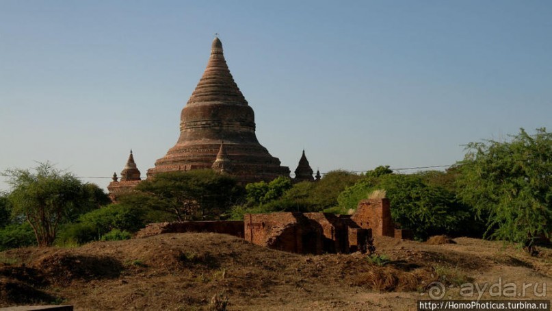 Здесь растут храмы!