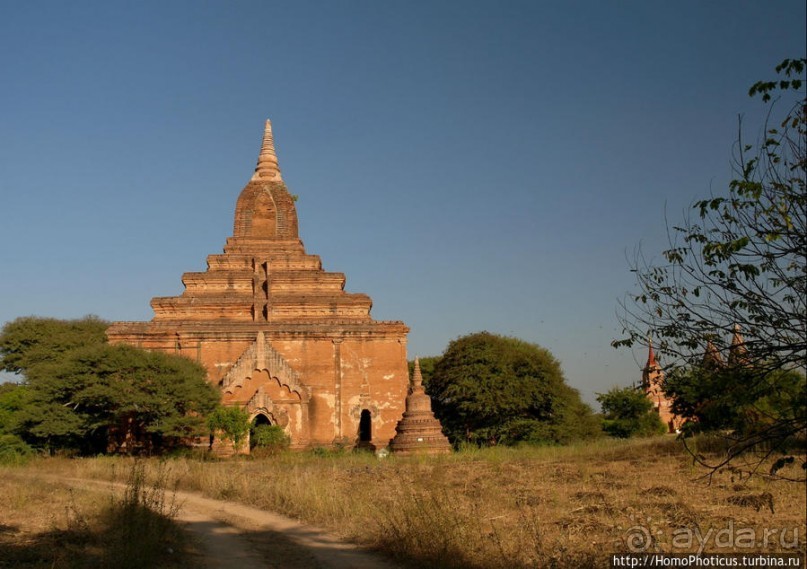 Здесь растут храмы!