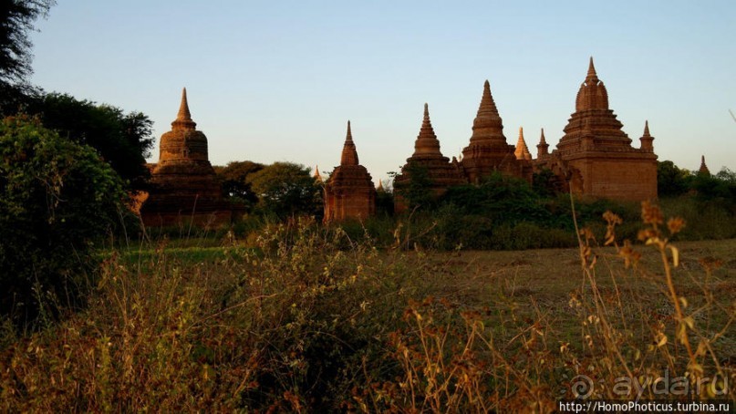 Здесь растут храмы!