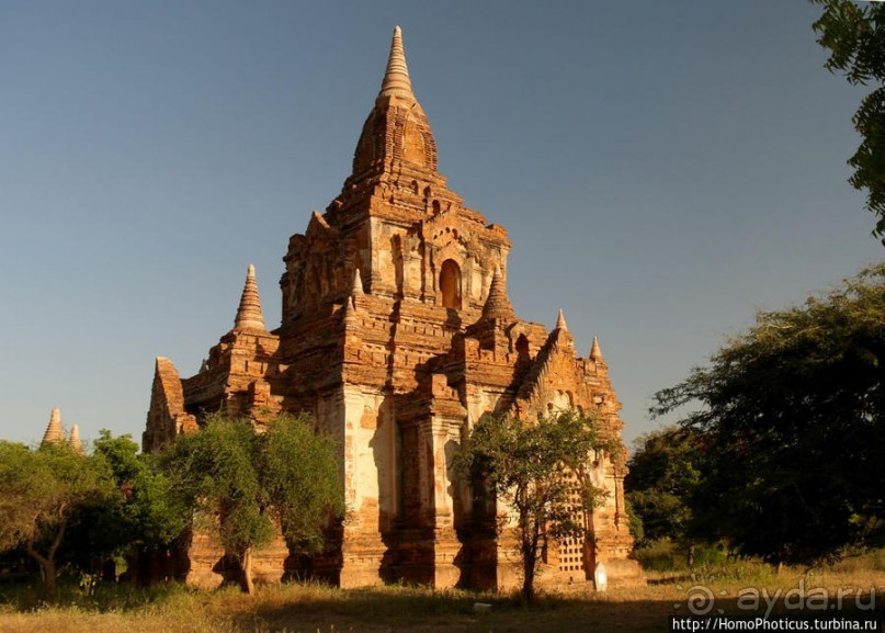 Здесь растут храмы!