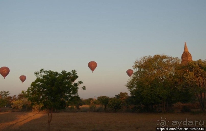 Здесь растут храмы!