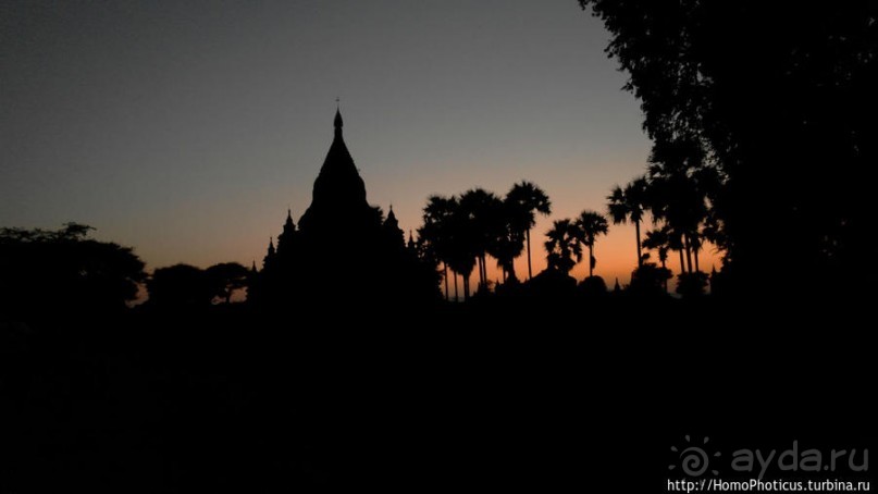 Здесь растут храмы!