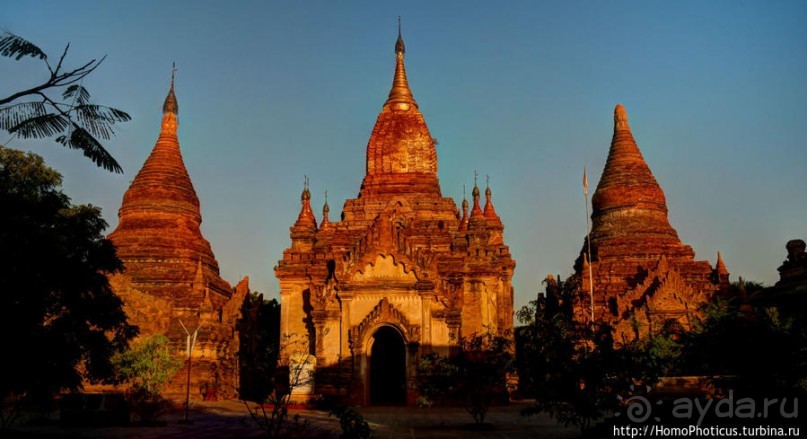 Здесь растут храмы!