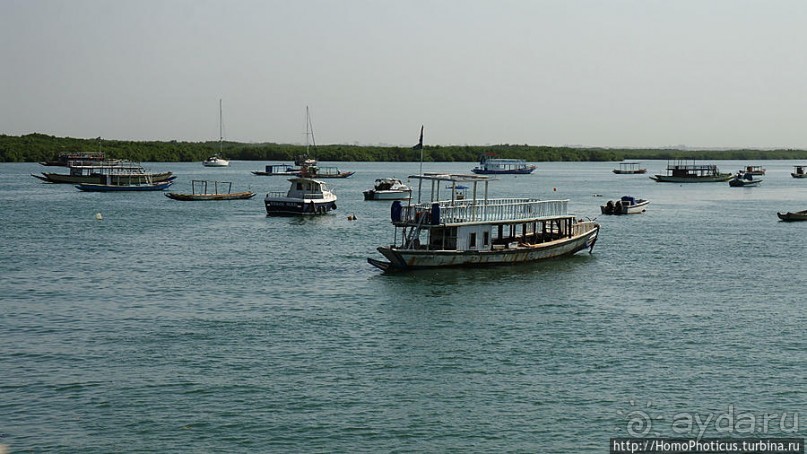 Стояние на Гамбии