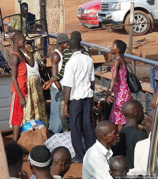 Стояние на Гамбии