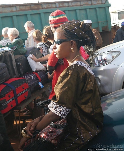 Стояние на Гамбии