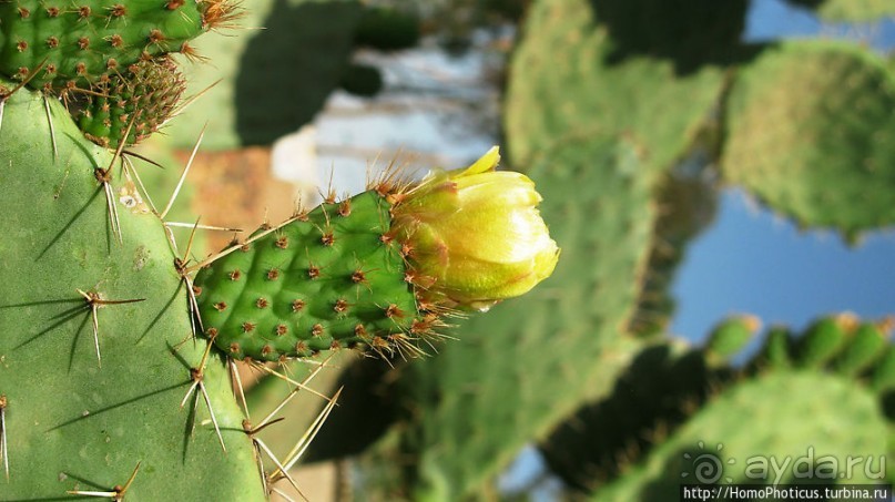 Кладбище танков