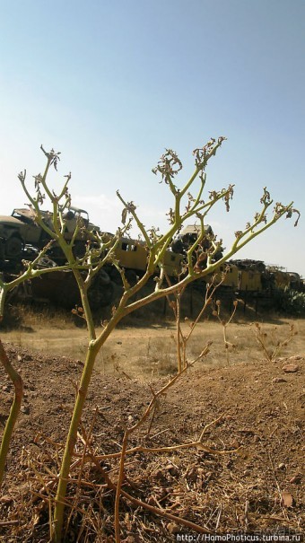 Кладбище танков