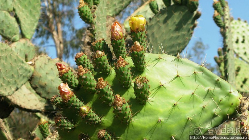 Кладбище танков